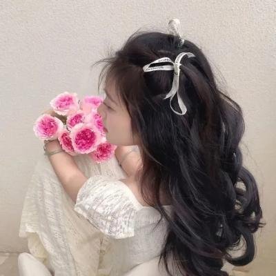 播种者