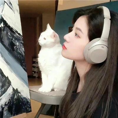 加油七条友