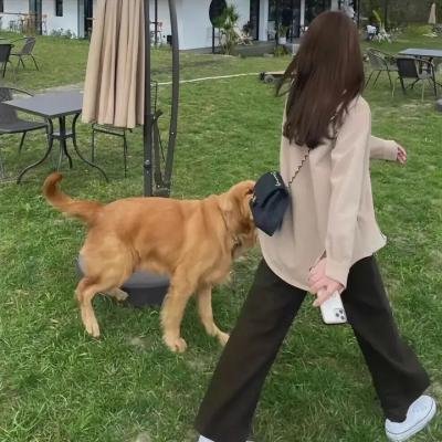 姐妹联谊会惊魂